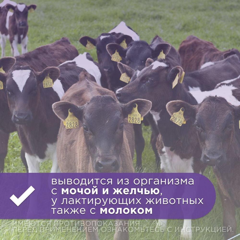 Раствор для инъекций для лечения и профилактики паразитарных болезней у жвачных животных и свиней Неомектин 1% ( Apicenna ), 100мл Ивермектин