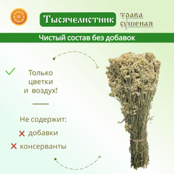 Тысячелистник пучок.