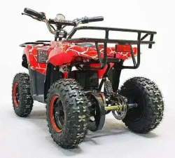 Электроквадроцикл Green Camel Гоби K40 (36V 800W R6 Цепь) быстросъем