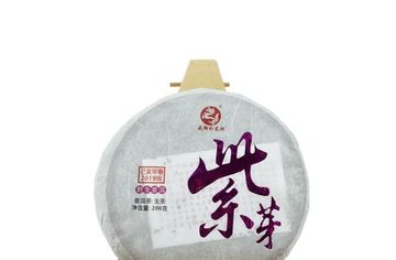 Herbata Purple Sheng Pu'er 2019 „Purple Buds” Roślina Zhoushi 200 g