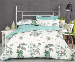 Постельное белье СайлиД B-182 сатин