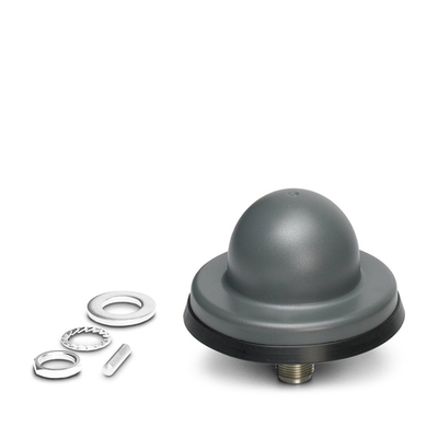 RAD-ISM-2459-ANT-FOOD-6-0-N