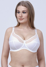 Бюстгальтер на каркасах с Т-образным членением чашек (Размер: 80I) (Цвет: черный)