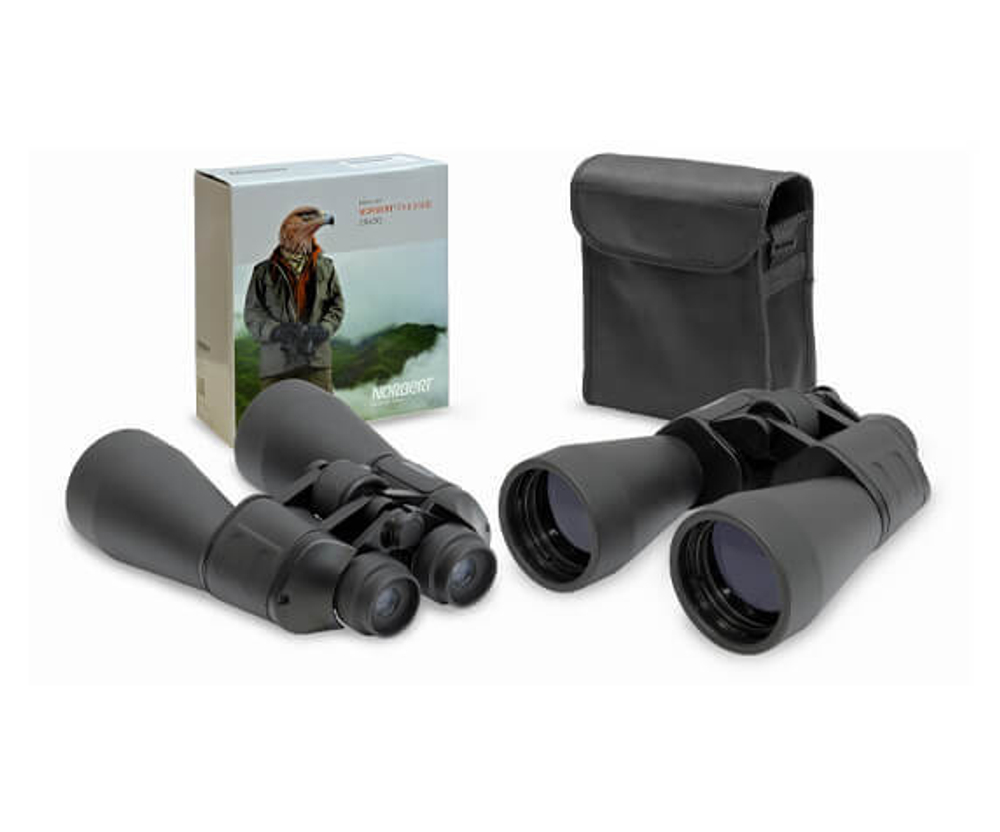 Norbert Standard 20x60 - фото 3