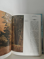 Приют, сияньем муз одетый