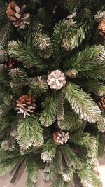 Заснеженная елка с шишками «Снежная королева» (пвх) 3 м