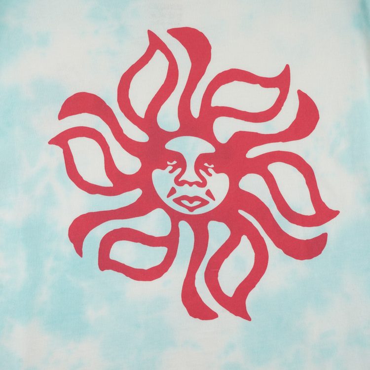 Футболка мужская Obey Hottie артикул:163402680 - купить в магазине Дайс