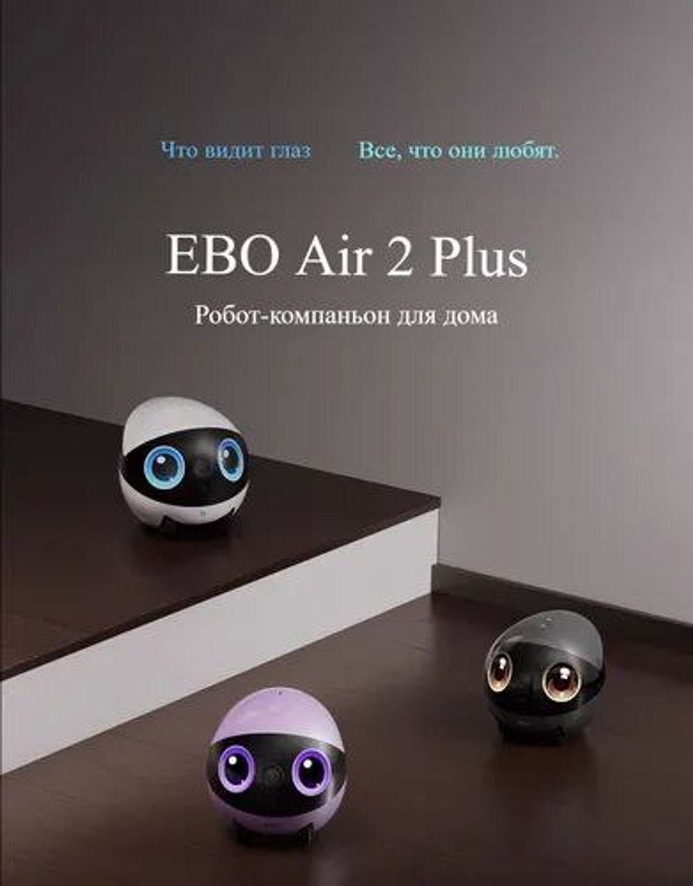 Видеоняня EBO Air 2 Plus (фиолетовый, 32 гб)