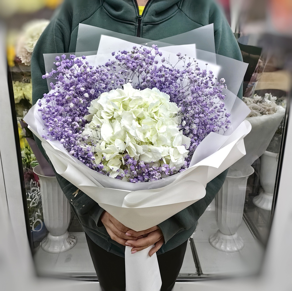 Гортензия с гипсофилой