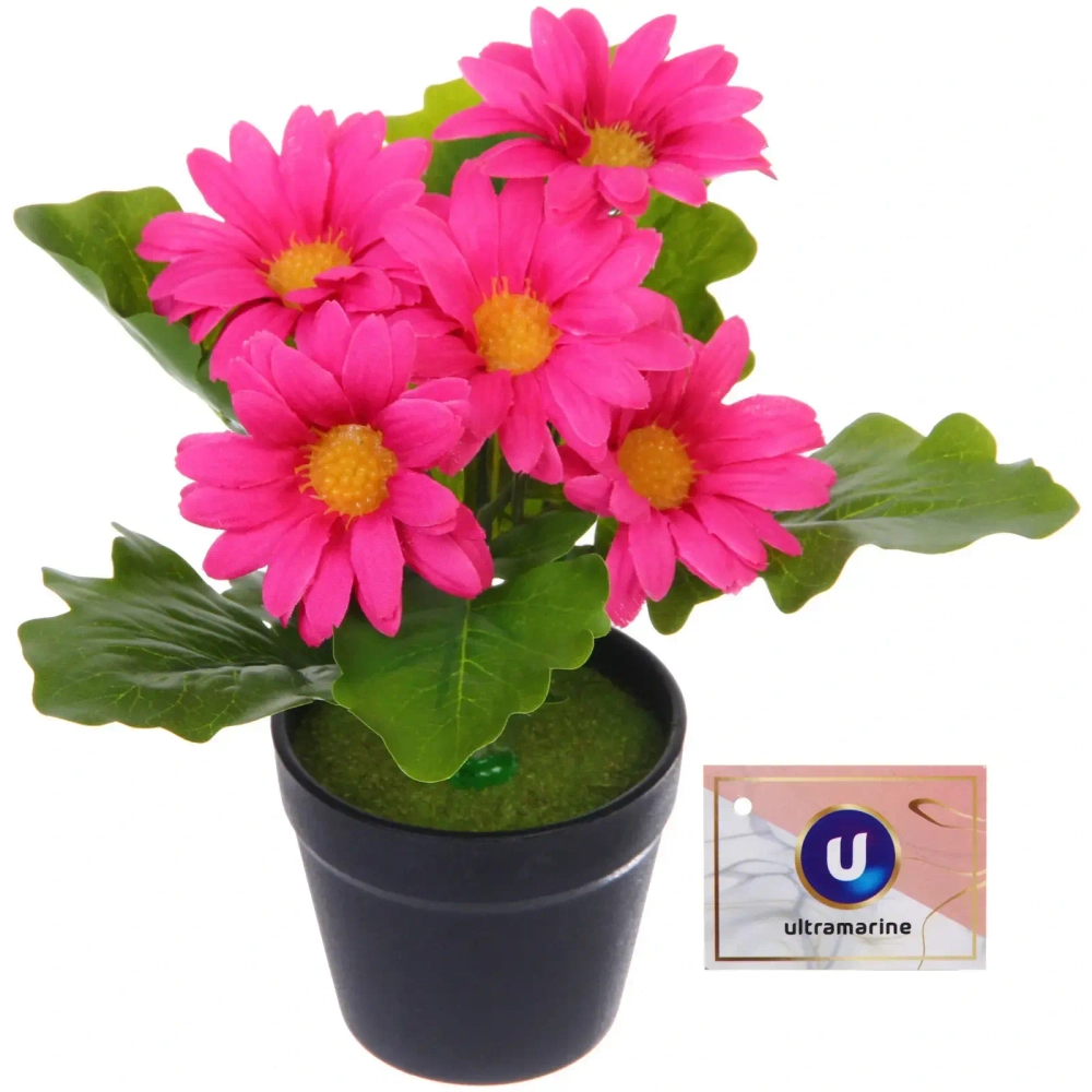 Цветочная композиция «Поцелуй лета» Хризантема ярко-розовая 20см