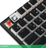 Клавиатура Acer Nitro OKW303 черный (ZL.KBDCC.01D)