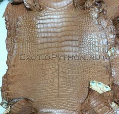 Кожа крокодила SK-36