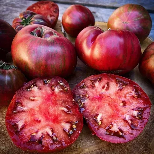 Гном Фестиваль Аделаиды Dwarf Adelaide Festival