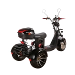 Электроскутер CityCoco SKYBOARD TRIKE BR60-3000 PRO Trike