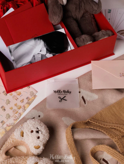 MemoryBox красный "Игрушка Зайка"