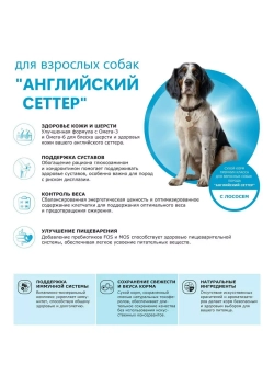 Сухой корм для собак породы Английский сеттер, лосось, 12 кг