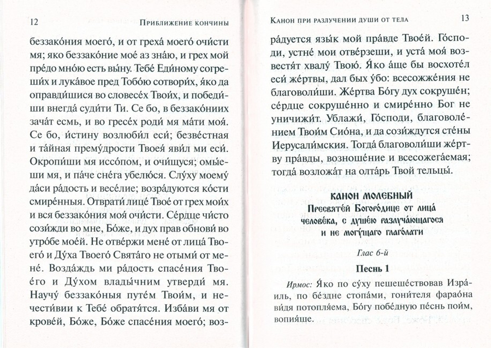 Псалтирь, чтомая по усопшим. Каноны, молитвы, лития и панихида
