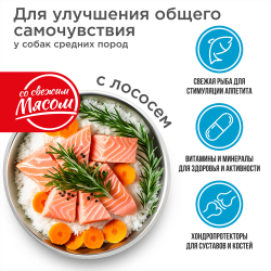 Корм сухой для взрослых собак средних пород, премиум полнорационный комплекс, улучшение общего самочувствия, с лососем, 12 кг, QUATTRO