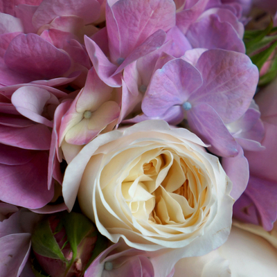 Маленькая композиция с гортензией