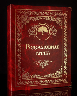 Семейный альбом родословная книга "Застолье", обложка балакрон (гранат)