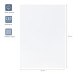 Холст на картоне Гамма "Студия", 25*35см, 100% хлопок, 280г/м2, мелкое зерно