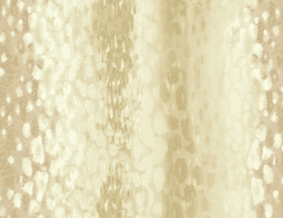 Обои Carl Robinson Edition 2 23805 CB