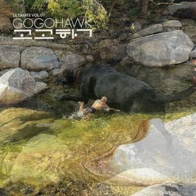 Альбом GOGOHAWK - VOL.07 LP Limited Edition