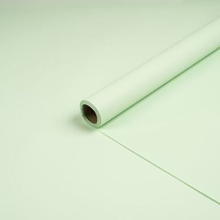 Пленка ФЛОРАНС 58*10м СВЕТЛАЯ №3