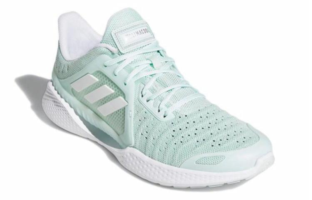 Кроссовки Adidas Climacool Vent Summer.Rdy Ck