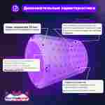 Роллер-аттракцион «Фиолетовый», ПВХ, трёхместный, 2,6×2,2×2,2 м