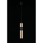 Подвесной светильник Aployt Brizhit APL.615.36.01