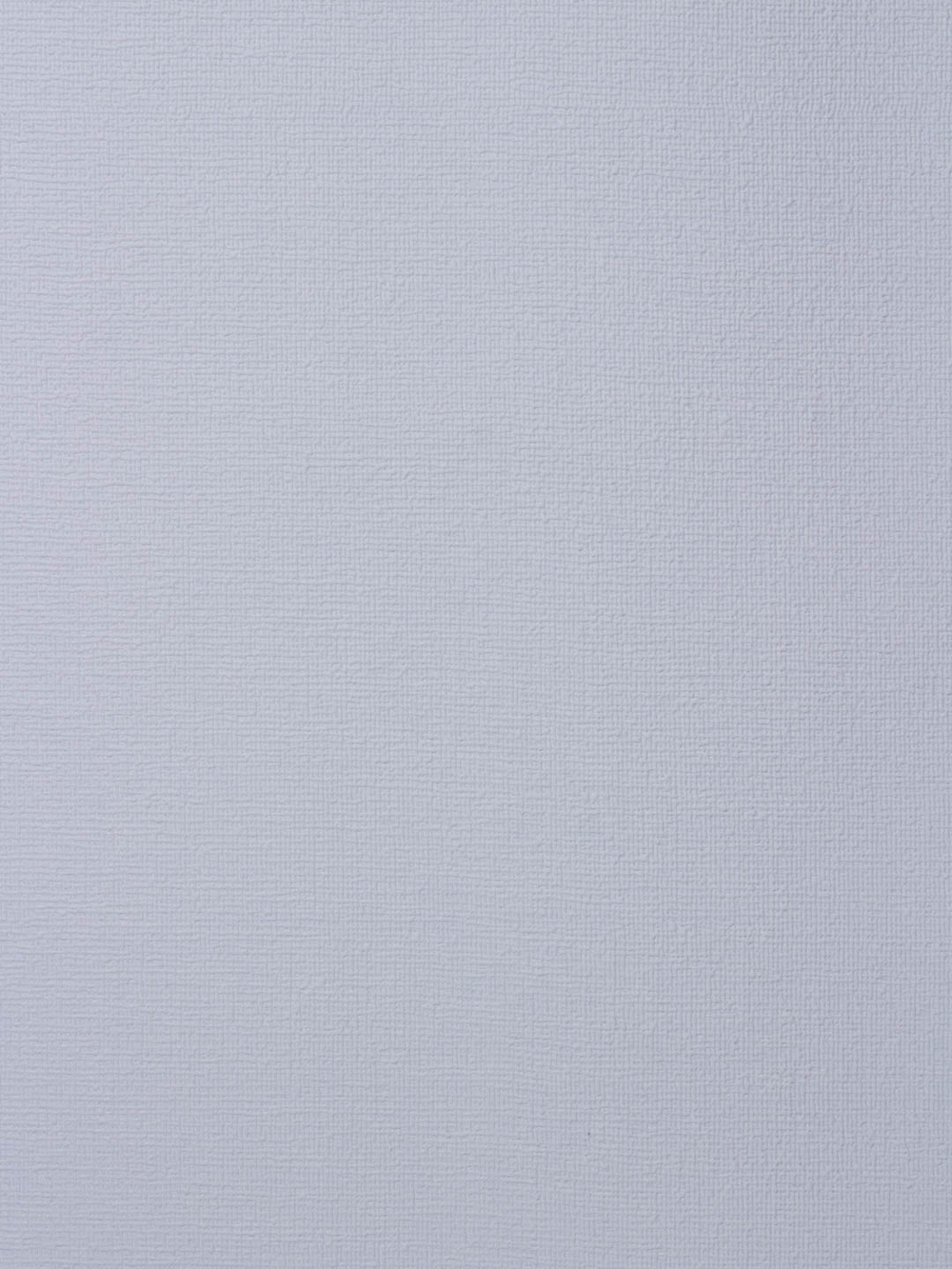 Обои Rasch Wallton 173703