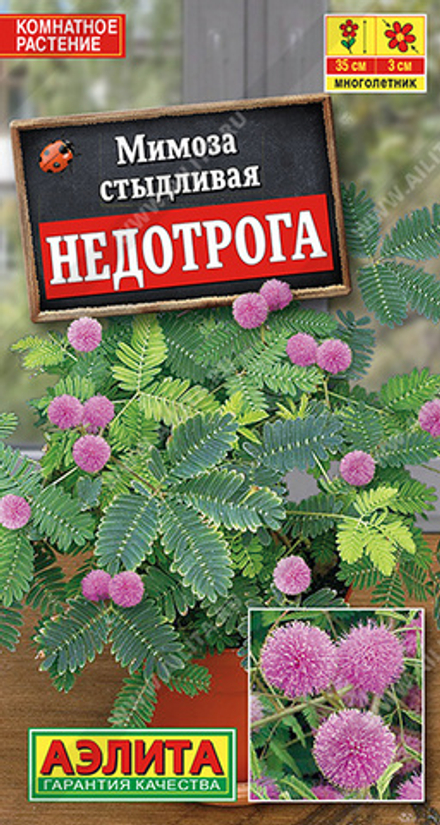 Мимоза Недотрога 10шт Аэлита