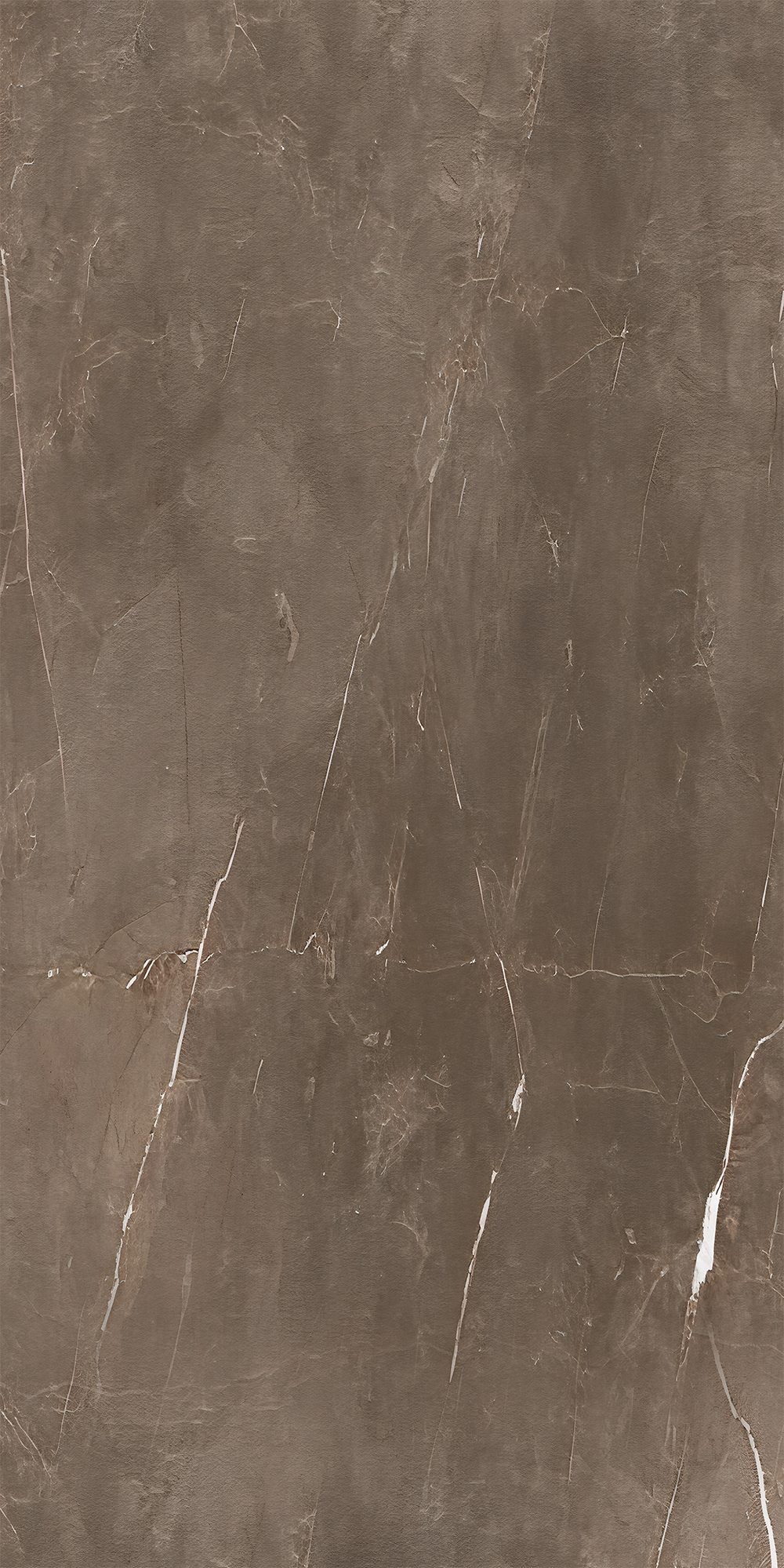 Терра Браун