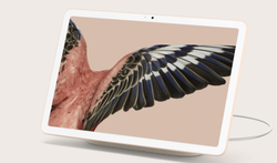 Планшет Google Pixel Tablet 8/256Gb Rose (Розовый)