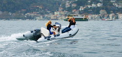 Лодка РИБ BRIG FALCON RIDER 400