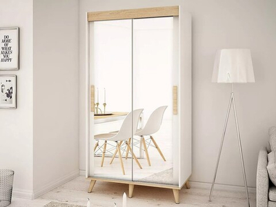 Шкаф-купе Руна  двухстворчатый FP54  100*50*260