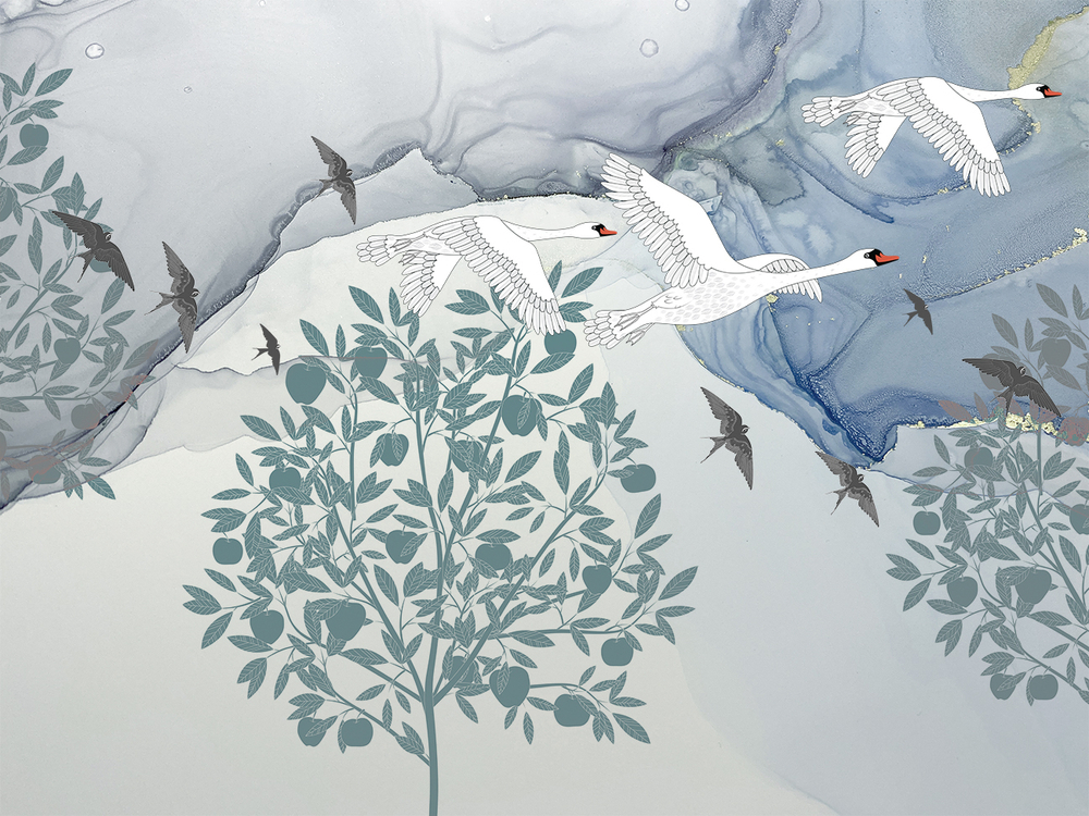 Коллекция GUSILEBEDY