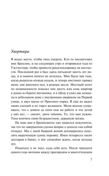 Бруклинские глупости