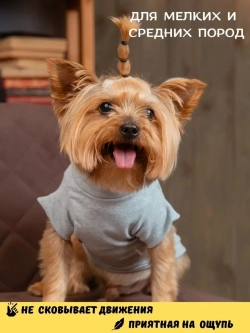 Футболка для собак мелких средних пород и кошек
