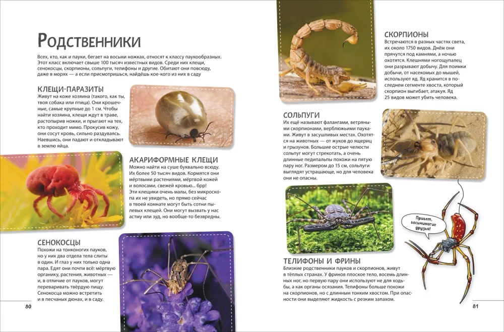 Невероятные насекомые. Иллюстрированная  энциклопедия
