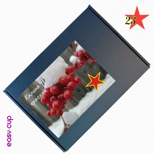 Подарочный набор чая на 23 февраля 