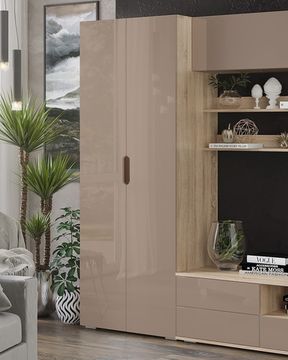 Шкаф ТРЕНТО