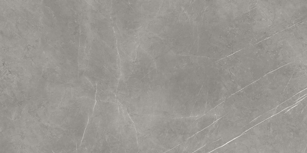 Керамогранит Forte Dei Marmi Elegant Grey Polished 80x160