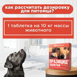Таблетки от гельминтов для собак Празицид APICENNA, 6таб. Празиквантел/Пирантел