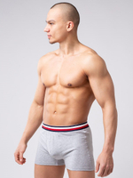 Мужские боксеры из мягкого хлопкового трикотажа с резинкой в полоску (Размер: S) (Цвет: красный)