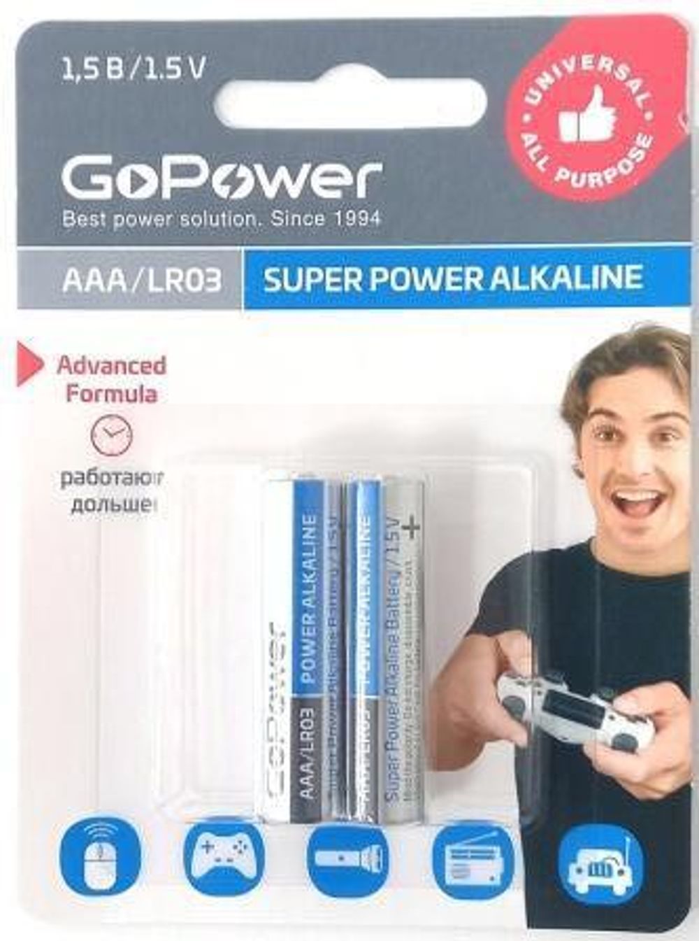 Батарейки GoPower LR03-BL2 (1/12/240)