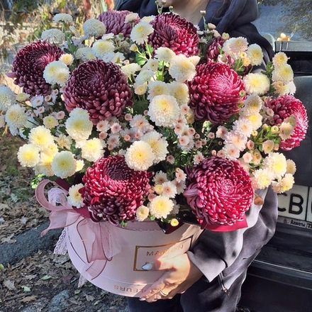 «Бигуди» в коробке