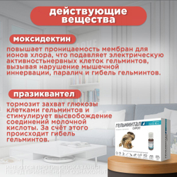 Сироп от гельминтов, профилактика дирофиляриоза для кошек более 4 кг Гельминтал (Neoterica), 5мл. Празиквантел/ Моксидектин