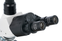 Микроскоп темнопольный Levenhuk 950T DARK, тринокулярный - фото 8